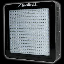 Black Dog platinum LED grow light
