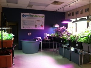 aquaponics grow lights showcase