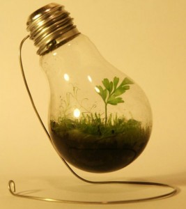 aquaponic grow light