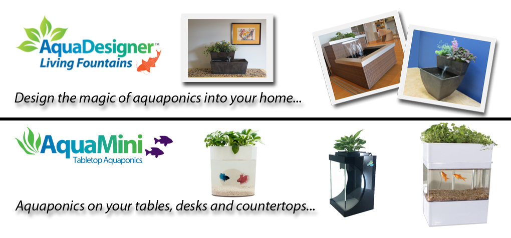 aquaponics community compare notes and experiences with the aquaponic 