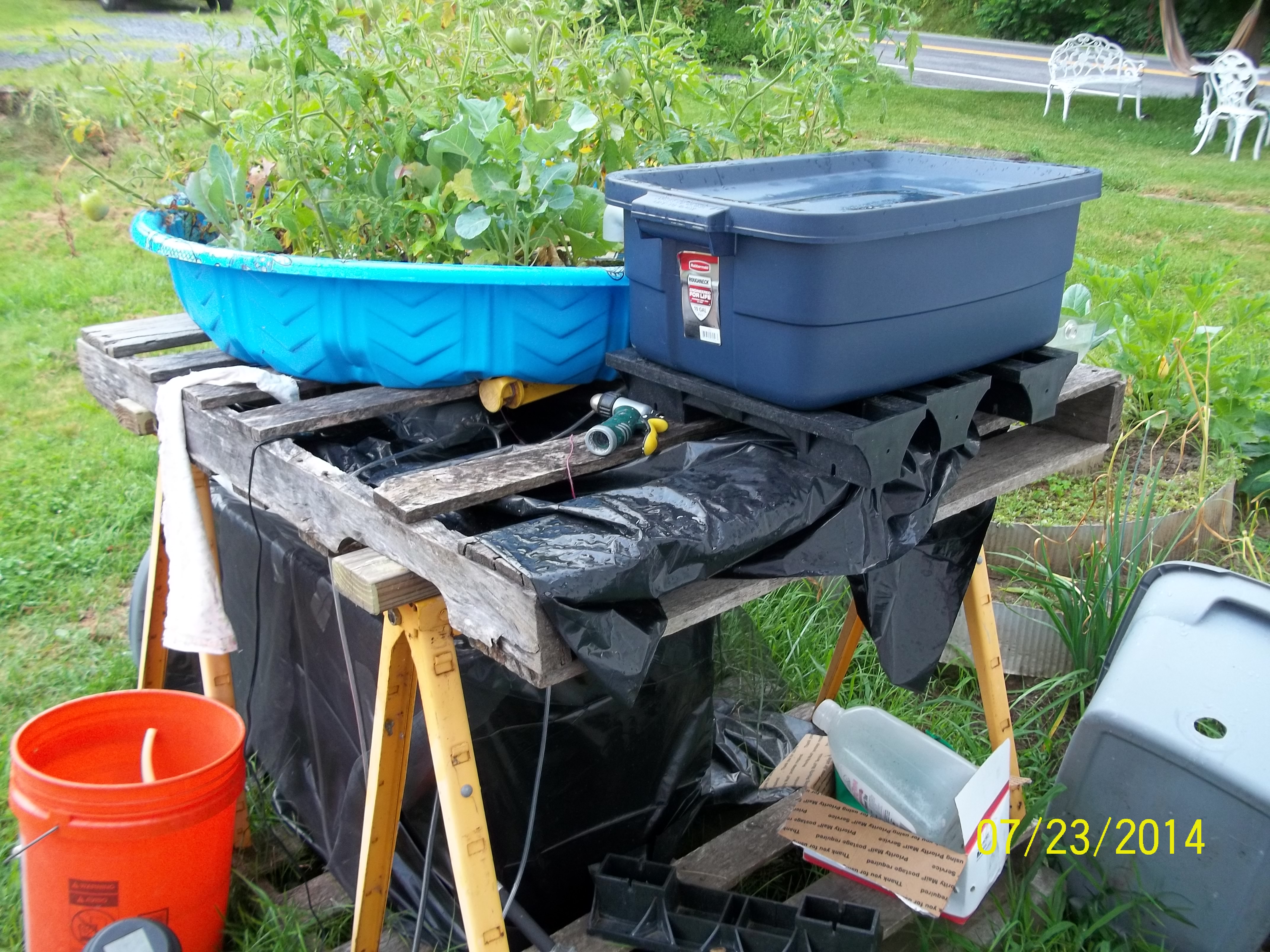 Aquaponic Gardener Profile - Rosemary Jeffers |