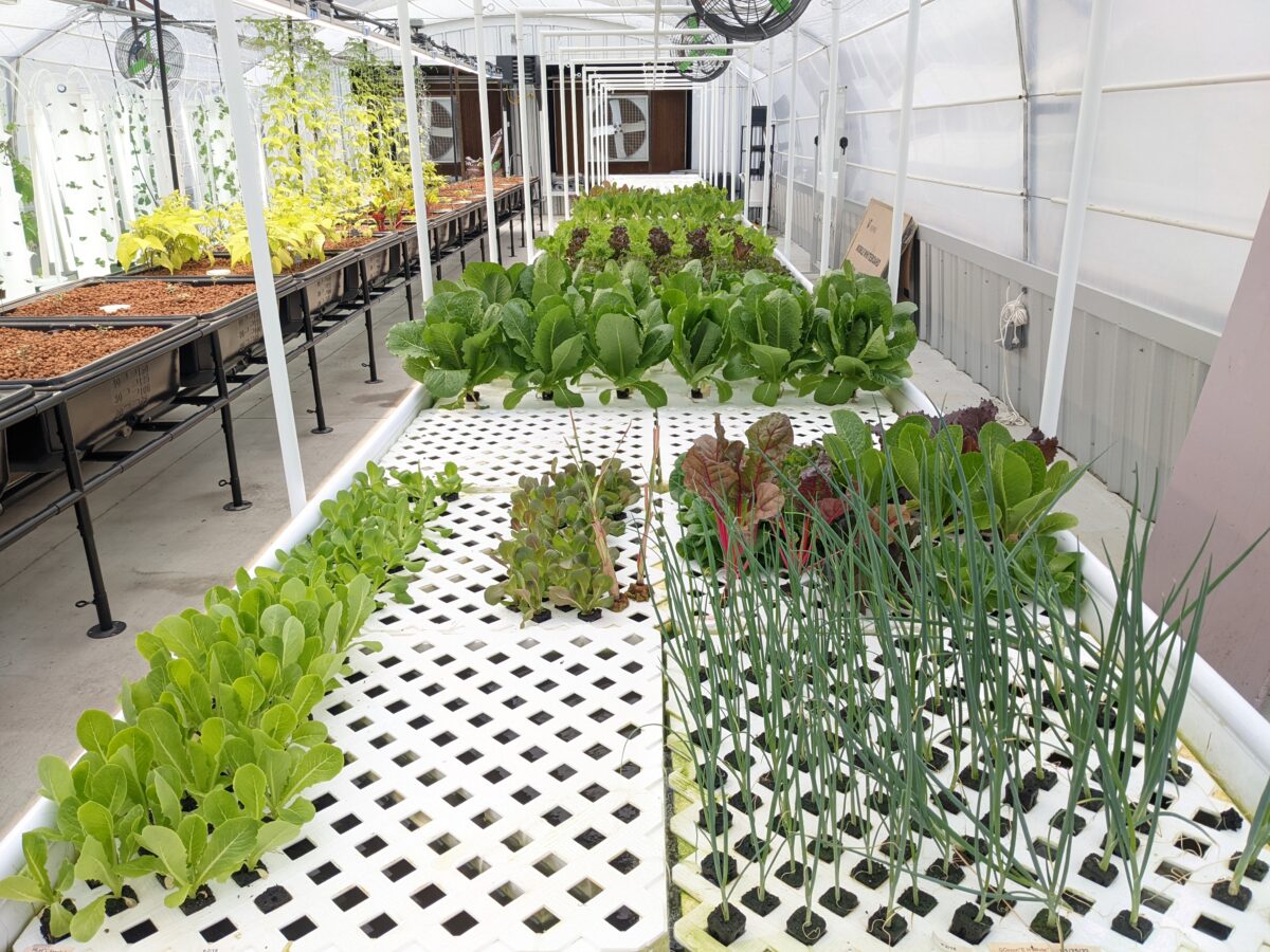 Mobile Loaves Fishes The Aquaponic Source