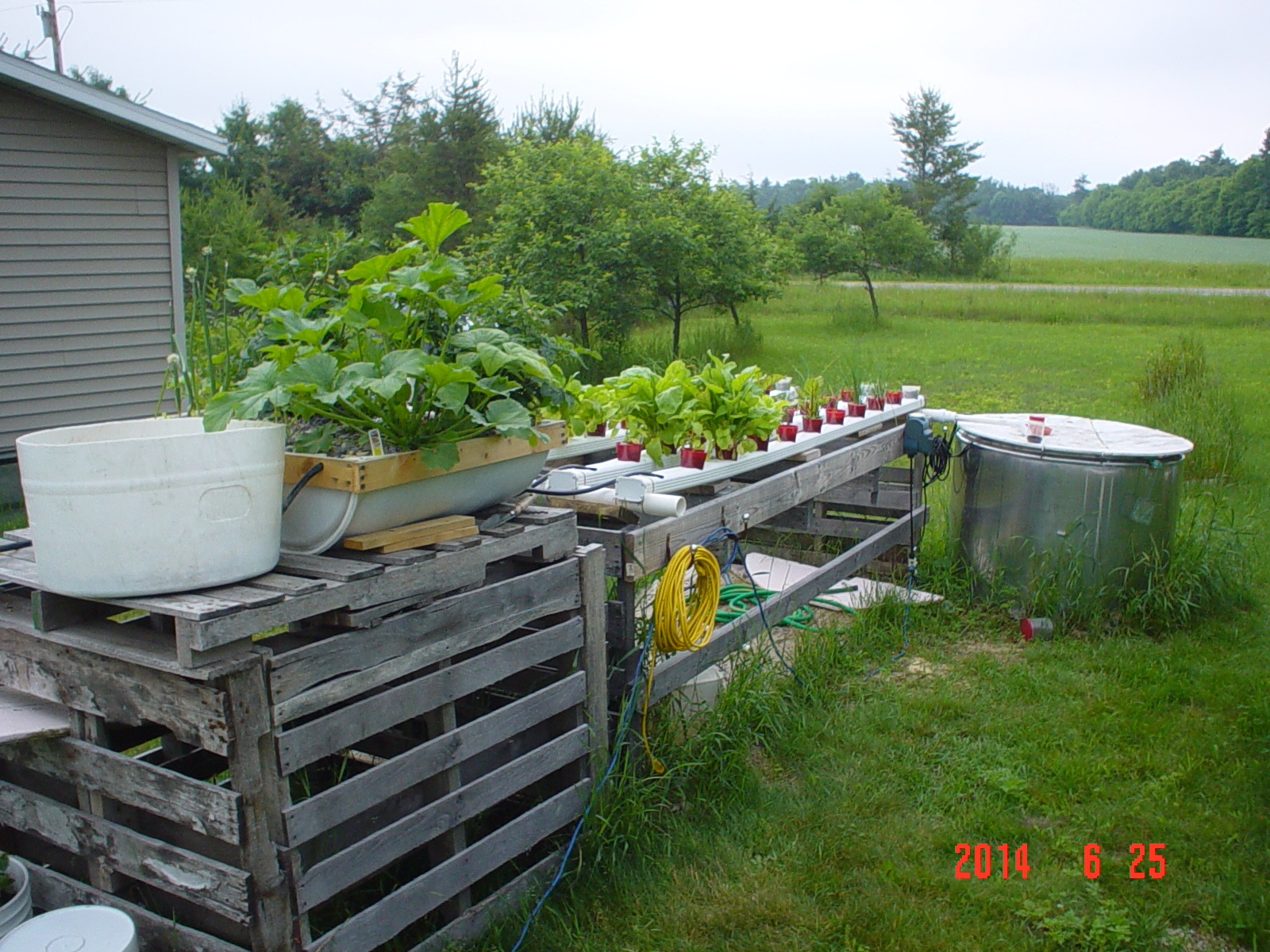 Aquaponic Gardener Profile - Leo White Bear |The Aquaponic Source