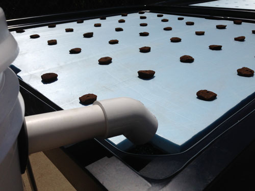 Raft Bed