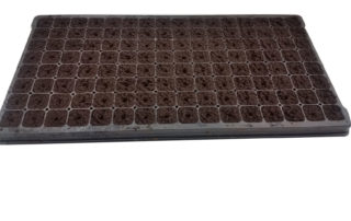 Photo of 128 cell black plastic tray filled with seed starting cubes