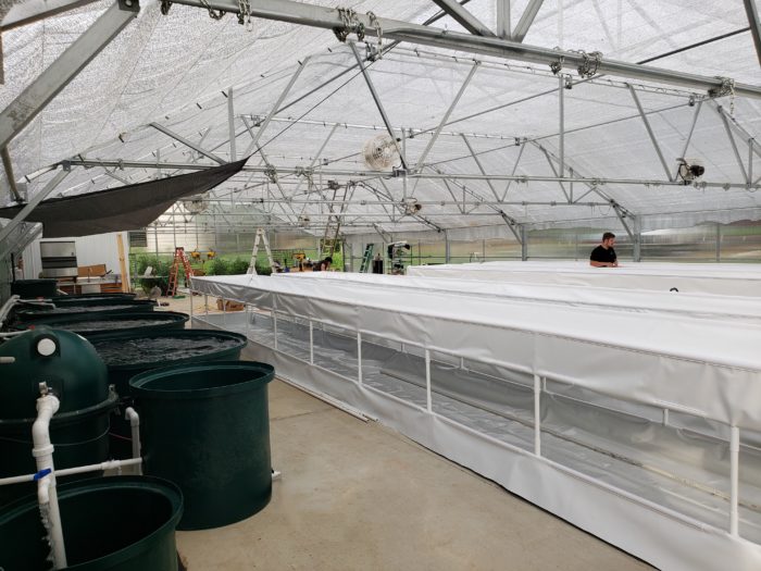 Aquaponic modular production systems 3d printing