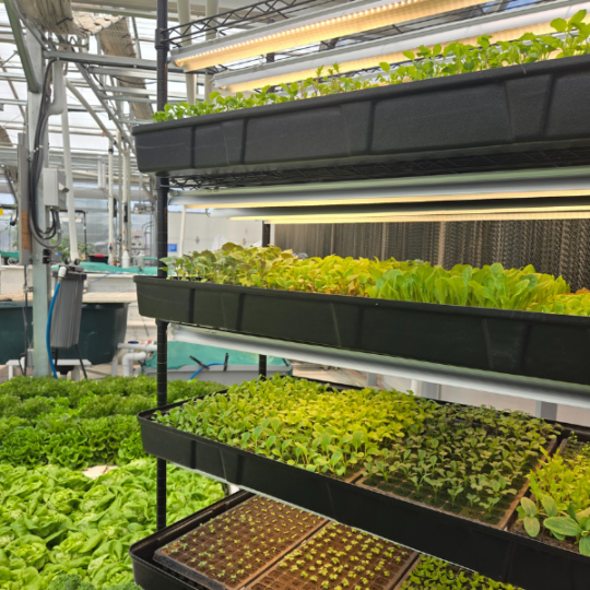 Aquaponic Systems Archives | The Aquaponic Source