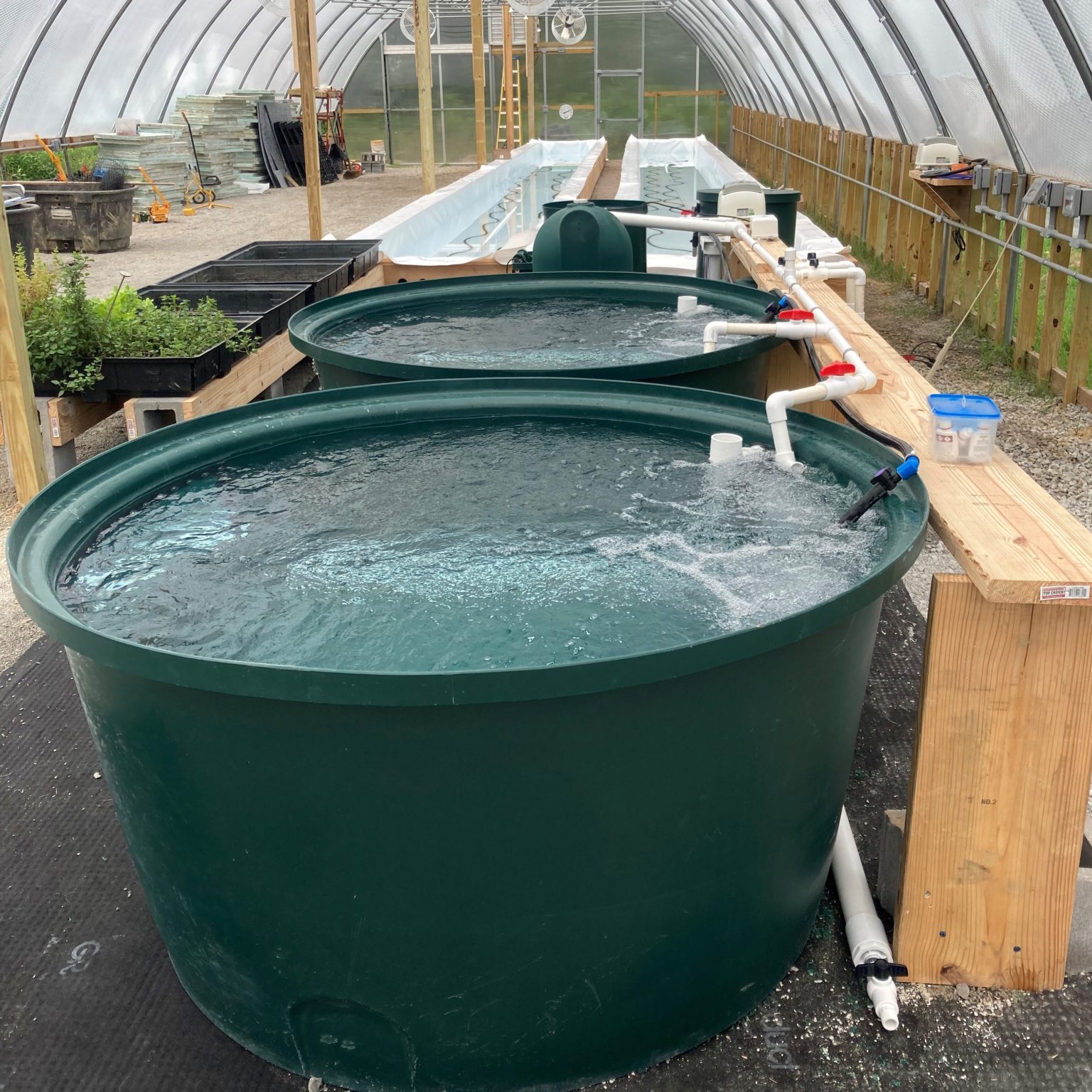 Archive | The Aquaponic Source